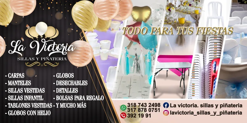 Volantes y afiches